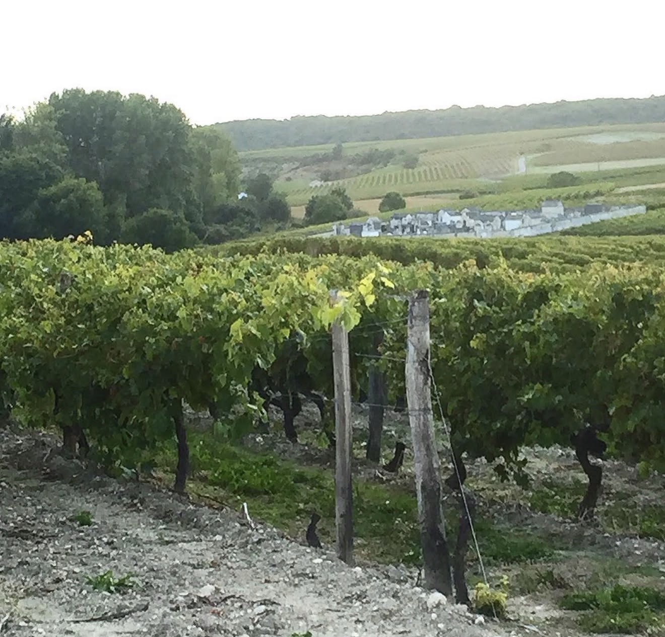 Brandy Bonanza