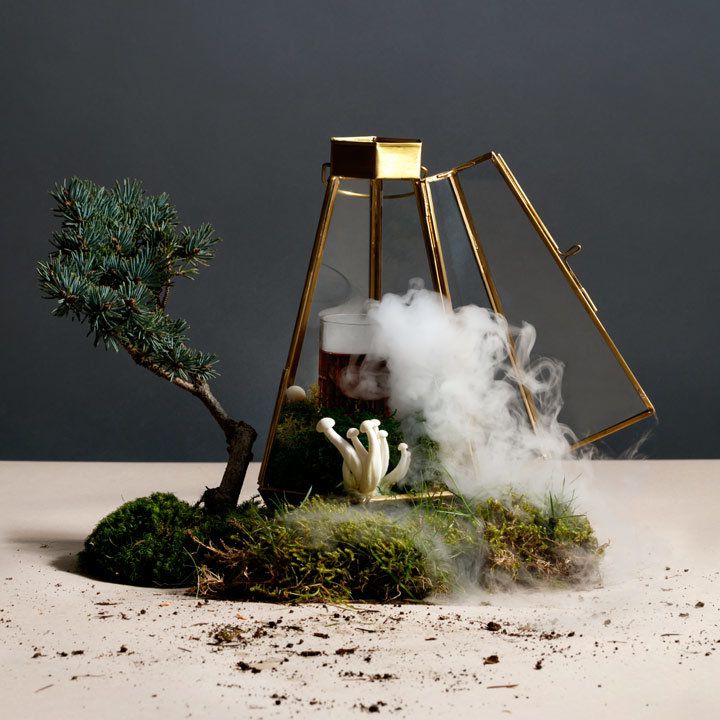 The Botanist