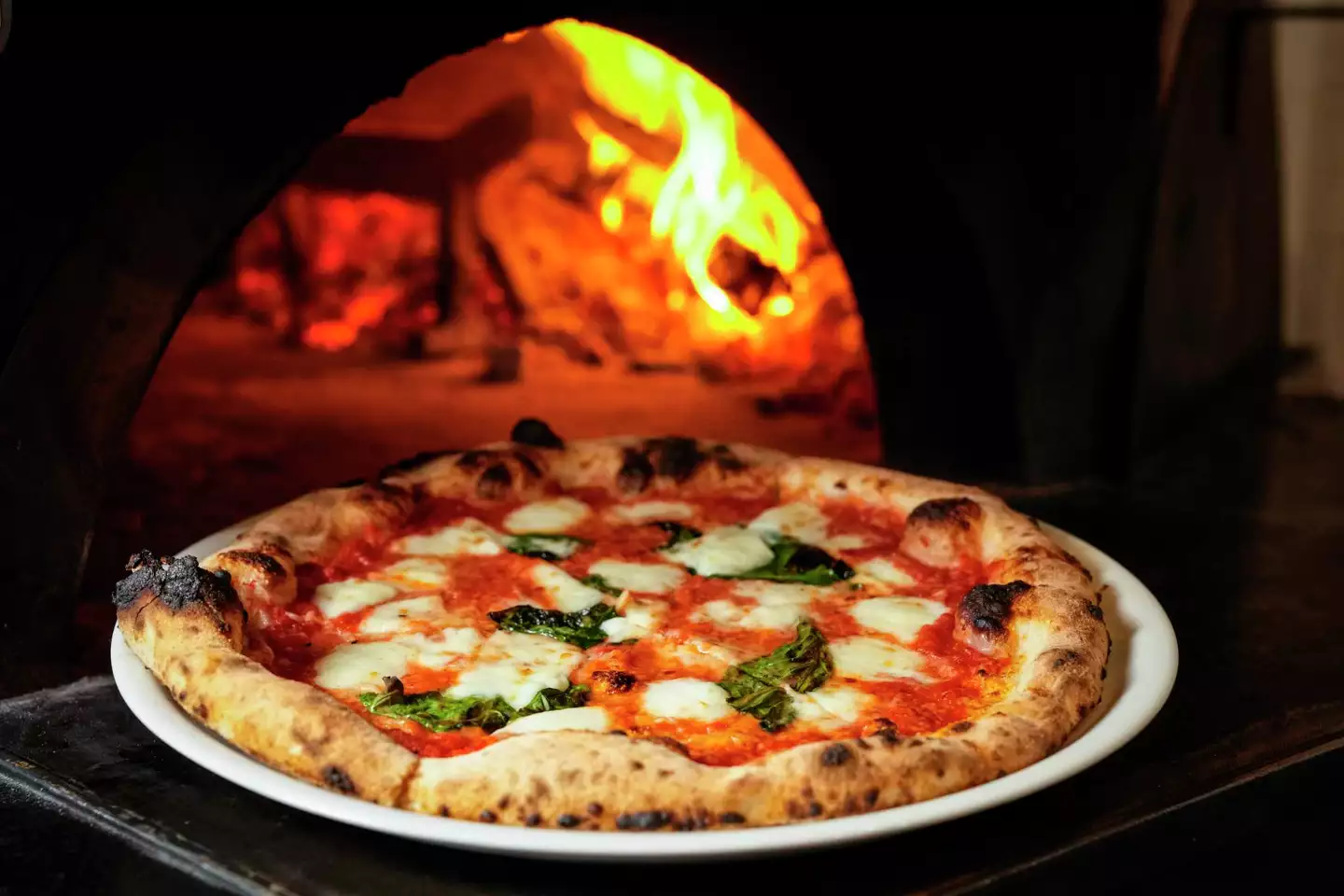 Coastline Pizzeria photo 1